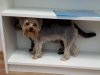 IMG-20171115-WA0001.jpg