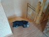 IMG_20170901_071836.jpg