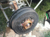 Фото-0386.gif