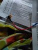 IMG_20171210_104237.jpg