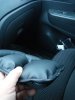 IMG_2017-02-01_093735.jpg