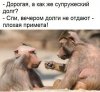 67246146.f.500.500.0.jpg | Рено Каптур Клуб Россия | Форум KAPTUR.SU