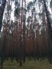 IMG_20171104_170606.jpg | Рено Каптур Клуб Россия | Форум KAPTUR.SU