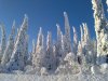 IMG_20180219_155201.jpg