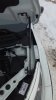 IMG_20180312_170002.jpg