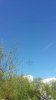 20180509_110126.jpg | Рено Каптур Клуб Россия | Форум KAPTUR.SU