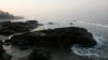 20160202_073008.jpg