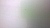 WP_20170304_004.jpg