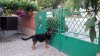 20180521_192855.jpg | Рено Каптур Клуб Россия | Форум KAPTUR.SU