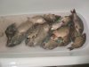 IMG_20180624_185347.jpg