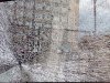 IMG_20180807_170621.jpg