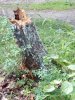 IMG_20180801_140712.jpg | Рено Каптур Клуб Россия | Форум KAPTUR.SU