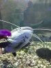 20180810_184348.jpg