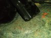 IMG_20180822_131900.jpg