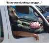 7bbc8c5a5c33723f54f4446f4b5.jpg