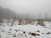 IMG_2017-03-10_082838.jpg