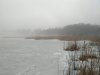 IMG_2017-03-10_090645.jpg