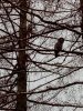 IMG_20181105_122623.jpg | Рено Каптур Клуб Россия | Форум KAPTUR.SU
