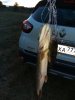 IMG_20180822_200011.jpg