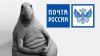 665400_2_1487681702.jpg | Рено Каптур Клуб Россия | Форум KAPTUR.SU
