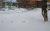 Следы IMG_20190104_150044.jpg | Рено Каптур Клуб Россия | Форум KAPTUR.SU