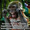 IMG-20190116-WA0002.jpg | Рено Каптур Клуб Россия | Форум KAPTUR.SU