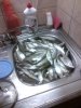 20131008-001.jpeg | Рено Каптур Клуб Россия | Форум KAPTUR.SU