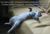 7c0a21141459b4822acfbc8f7c1.jpg