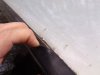 d925484s-960.jpg