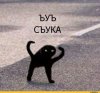 Anime-фэндомы-3300572.jpeg | Рено Каптур Клуб Россия | Форум KAPTUR.SU