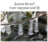 IMG-20190329-WA0008.jpg