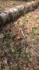 WP_20190505_11_13_20_Pro.jpg | Рено Каптур Клуб Россия | Форум KAPTUR.SU