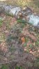WP_20190505_11_13_08_Pro.jpg | Рено Каптур Клуб Россия | Форум KAPTUR.SU