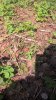 WP_20190505_11_11_15_Pro.jpg | Рено Каптур Клуб Россия | Форум KAPTUR.SU