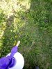 IMG_20190529_192111.jpg | Рено Каптур Клуб Россия | Форум KAPTUR.SU