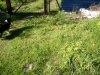 IMG_20190530_174217.jpg