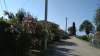 IMG_20190706_094412.jpg