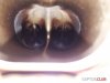 20190330_113453.jpg | Рено Каптур Клуб Россия | Форум KAPTUR.SU