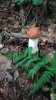 IMG-20190716-WA0018.jpg