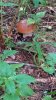 IMG-20190716-WA0031.jpg