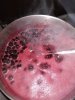 IMG-20190717-WA0021.jpg