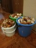 IMG-20190719-WA0028.jpg