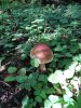 IMG_20190727_091802.jpg | Рено Каптур Клуб Россия | Форум KAPTUR.SU
