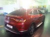 gen1200_407551907.jpg