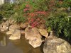 IMG_2017-04-02_113156.jpg