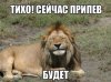 -3c3FUXOGO8.jpg | Рено Каптур Клуб Россия | Форум KAPTUR.SU