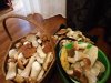 IMG_2016-08-22_183400.jpg