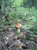 IMG_2016-08-20_095422.jpg