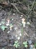 IMG_2016-08-21_104218.jpg