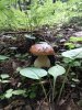 IMG_2016-07-20_144829.jpg